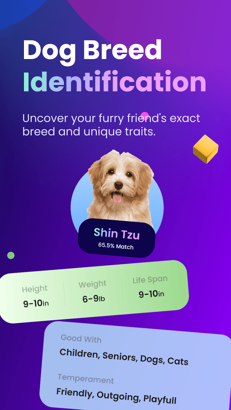 Miracle AI app screenshot 3 of 5